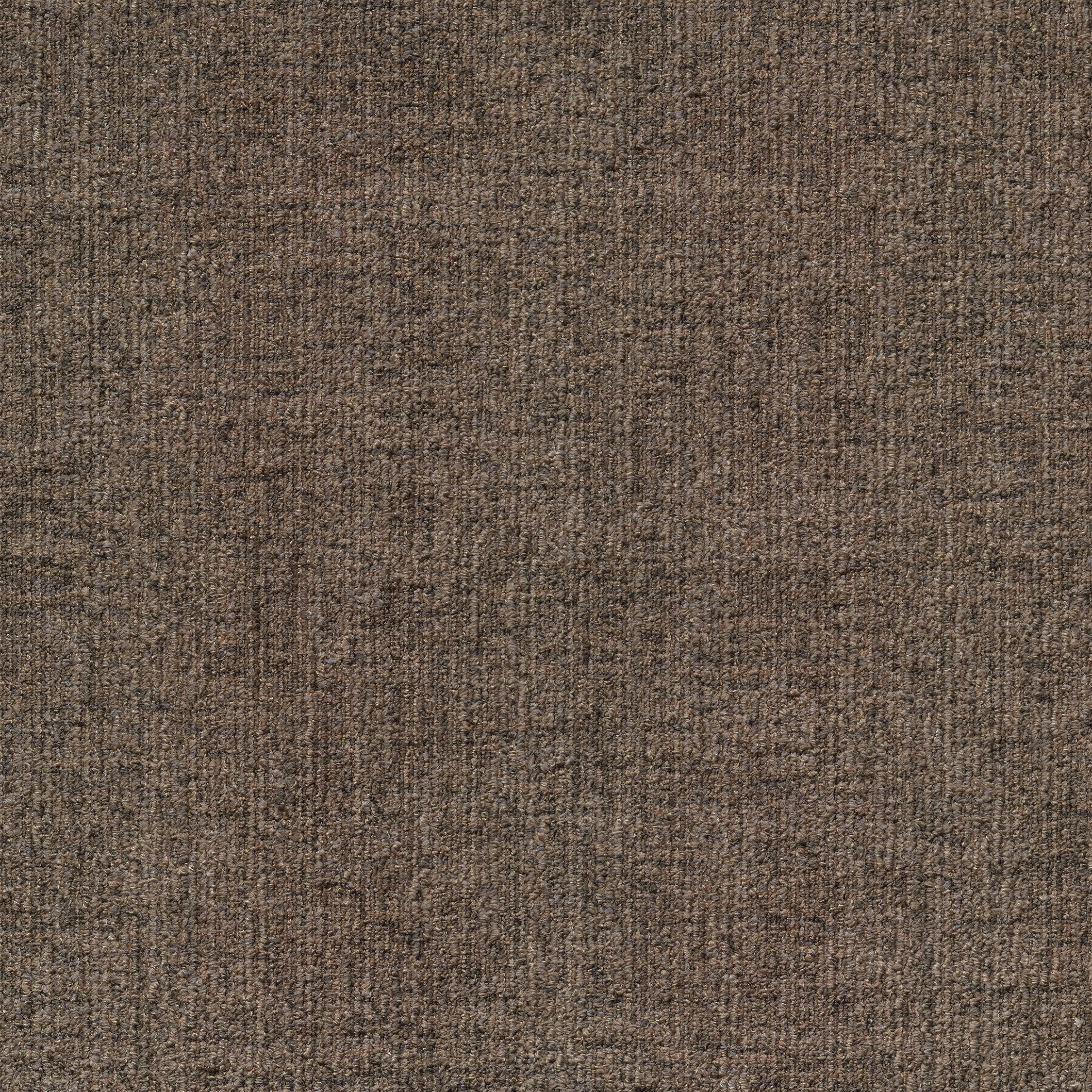 ReForm Spectrum bark