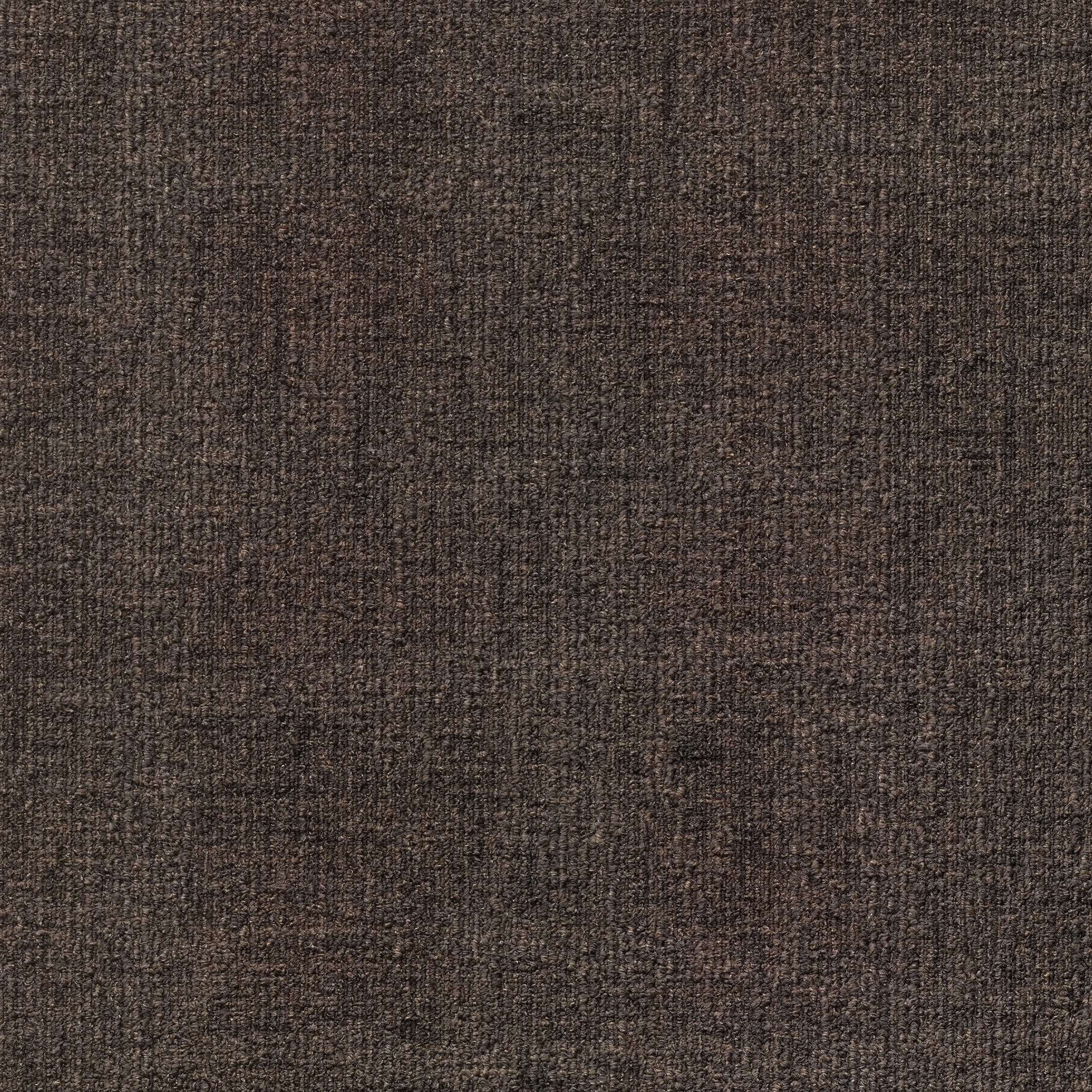 ReForm Spectrum mocha