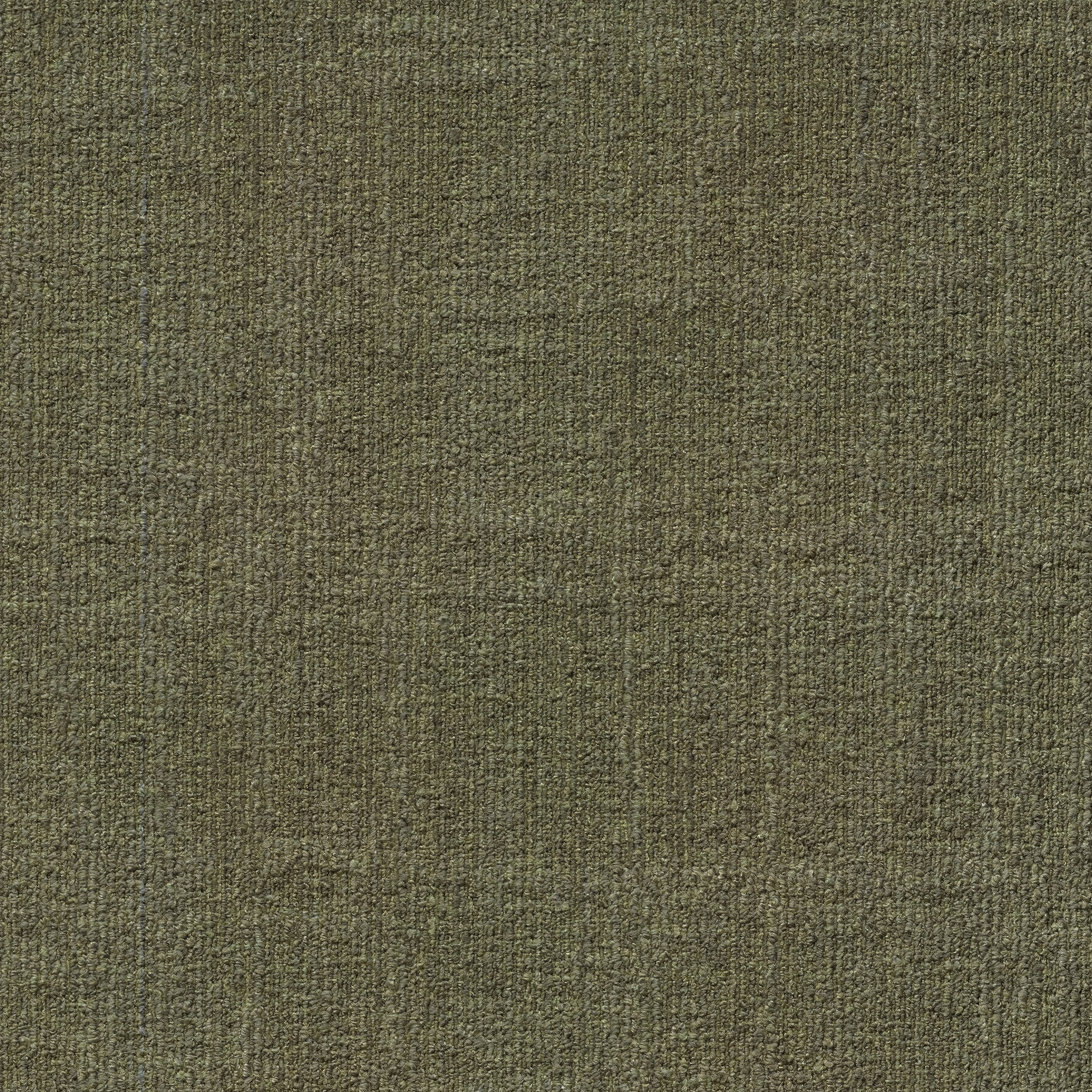 ReForm Spectrum cactus