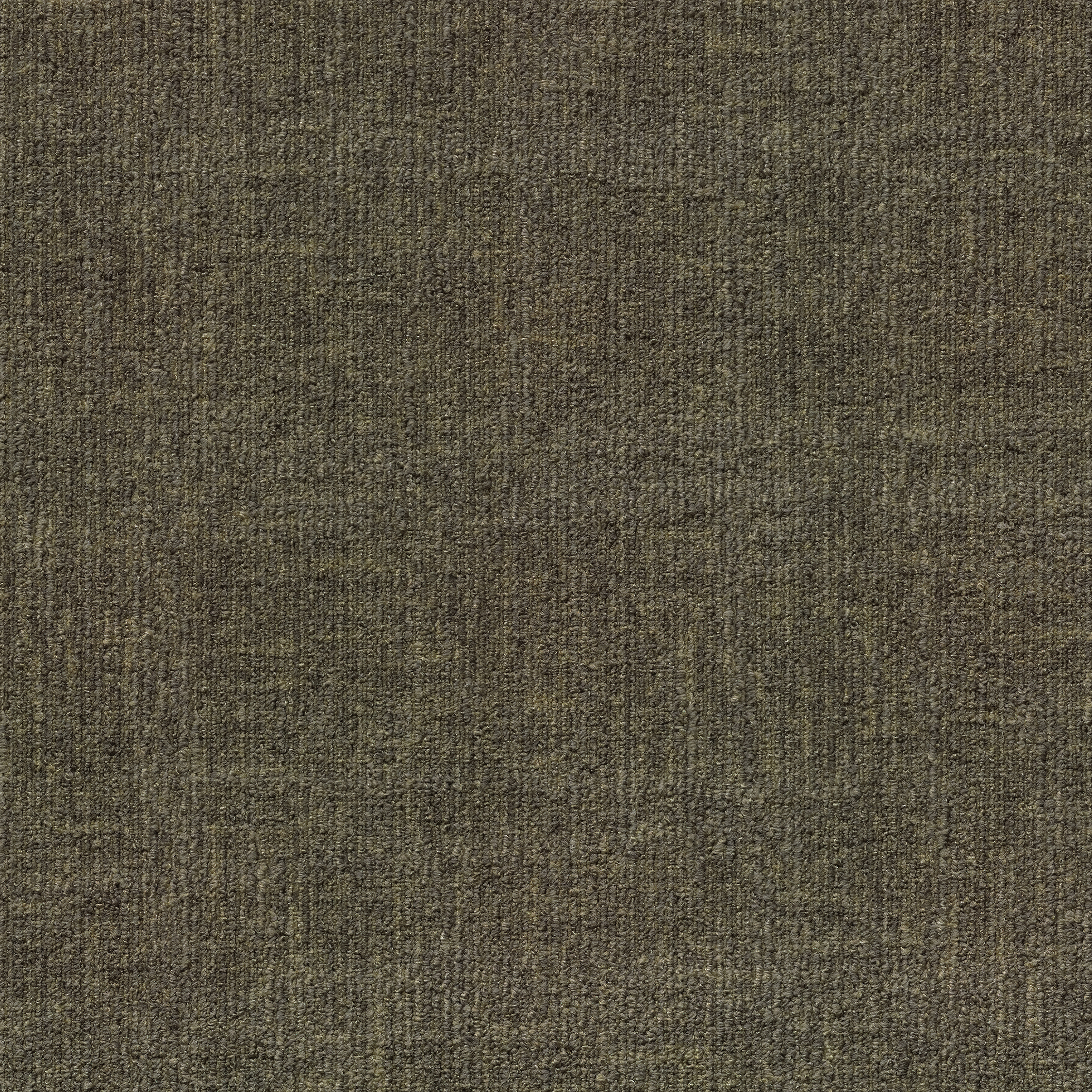 ReForm Spectrum fern