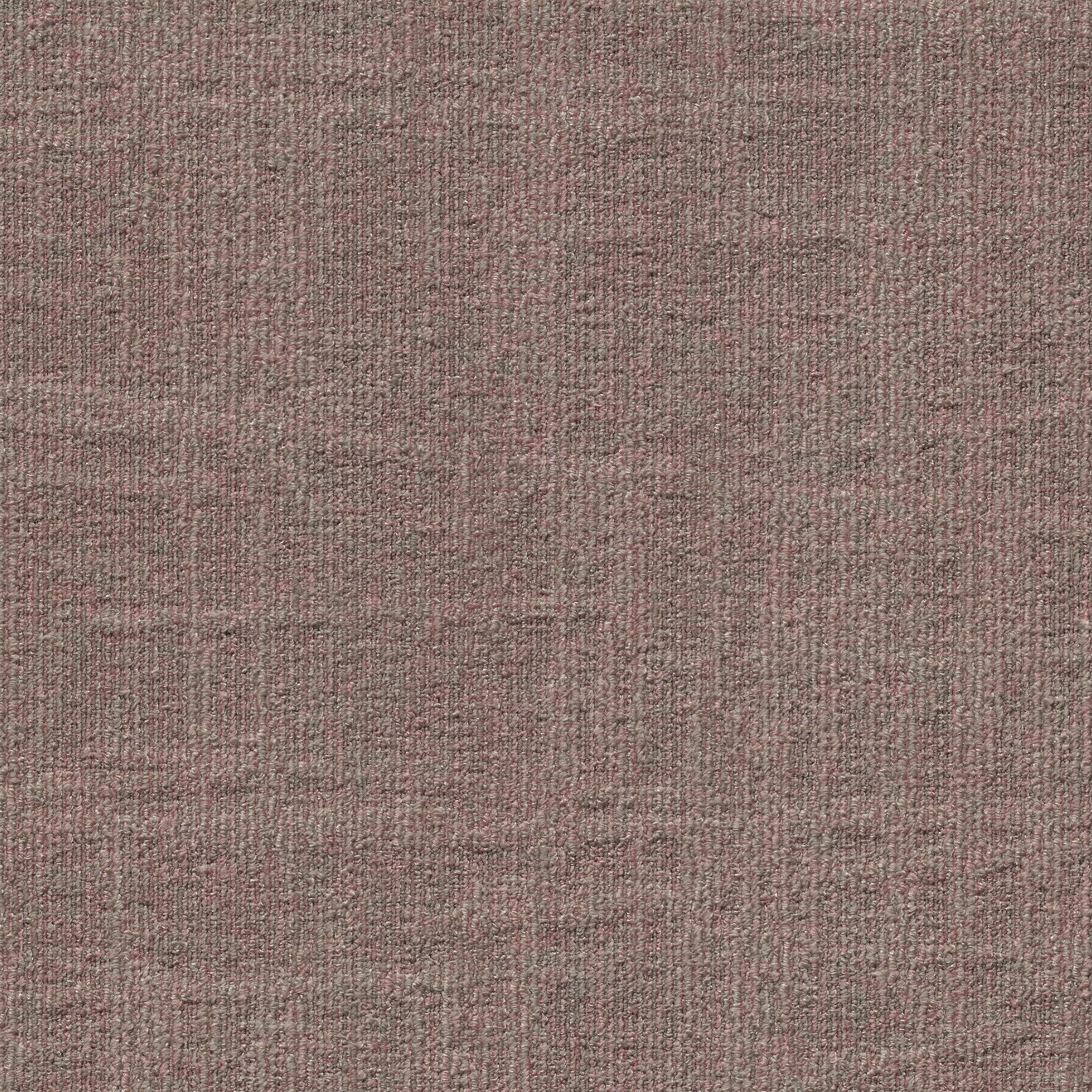 ReForm Spectrum rose