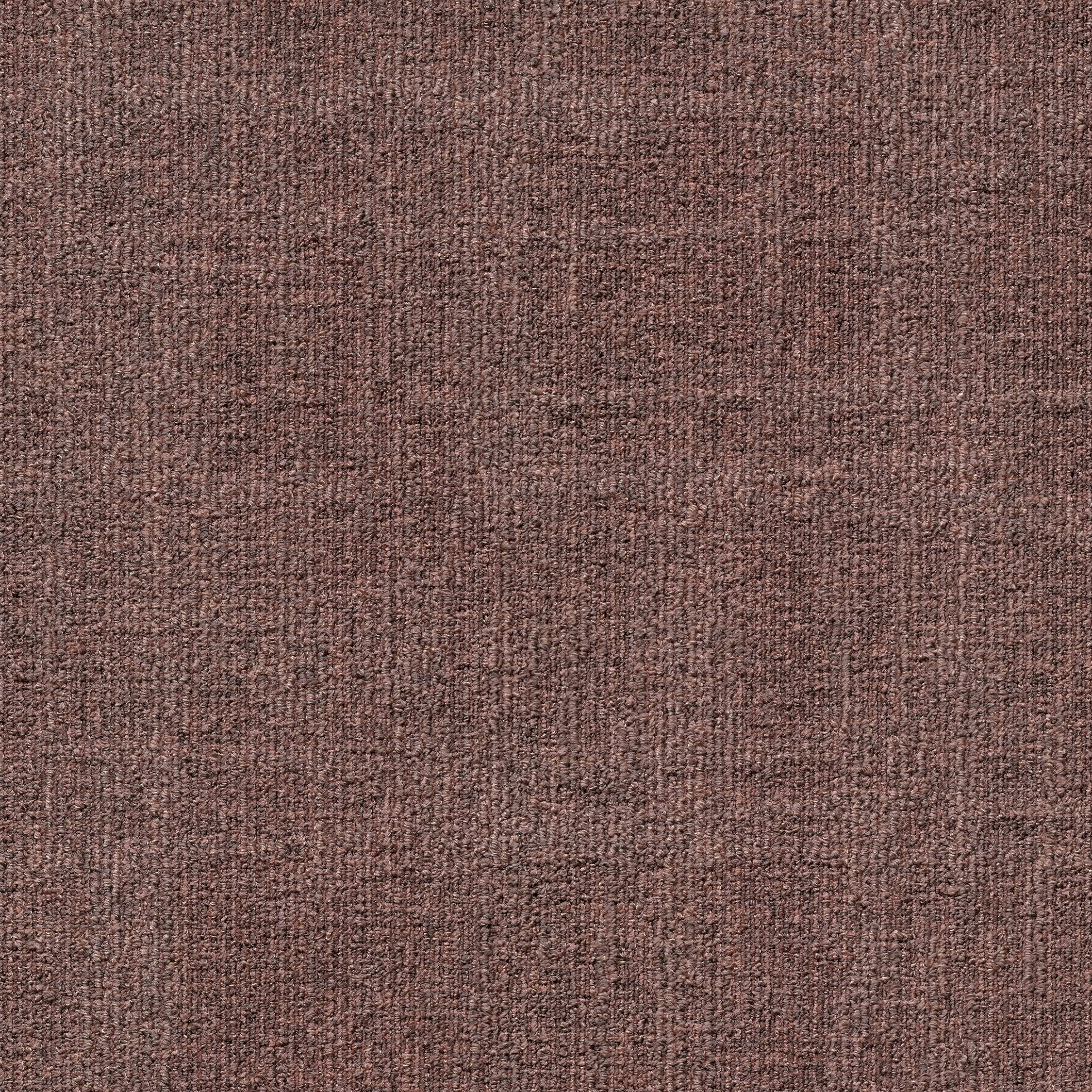 ReForm Spectrum blush